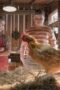 Nonton Film Young Sheldon Season 3 Episode 11 Terbaru Nonton Film Young Sheldon Season 3 Episode 11 Terbaru