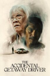 Nonton Film The Accidental Getaway Driver (2025) Terbaru