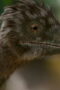Nonton Film The Dinosaurs Season 1 Episode 1 Terbaru Nonton Film The Dinosaurs Season 1 Episode 1 Terbaru
